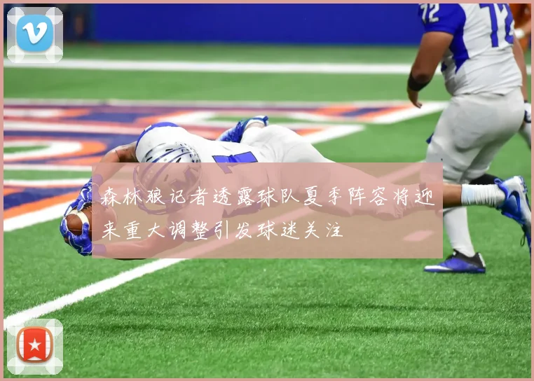 森林狼记者透露球队夏季阵容将迎来重大调整引发球迷关注