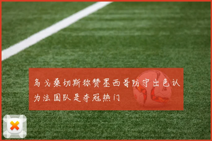 乌戈桑切斯称赞墨西哥防守出色认为法国队是夺冠热门
